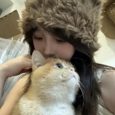 年度高分